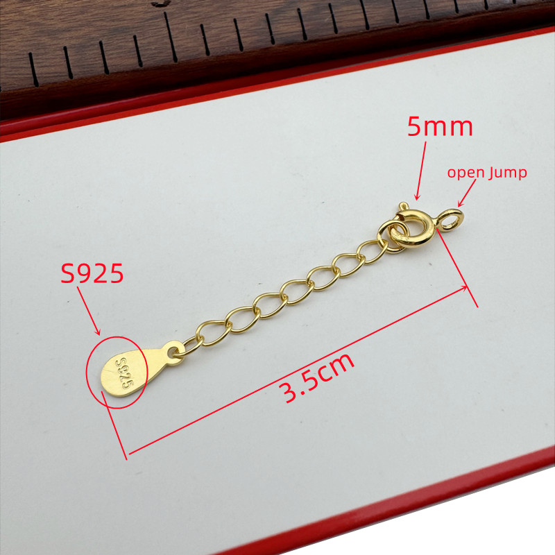 1 Stuks Massief 925 Sterling Z - Lobster Clasp Silver recensie en prijs